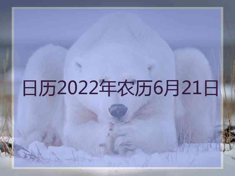 日历2022年农历6月21日