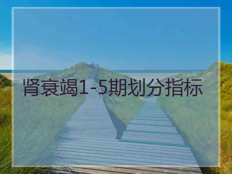 肾衰竭1-5期划分指标