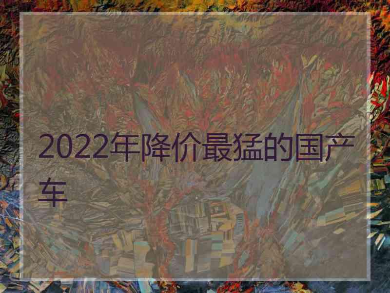2022年降价最猛的国产车
