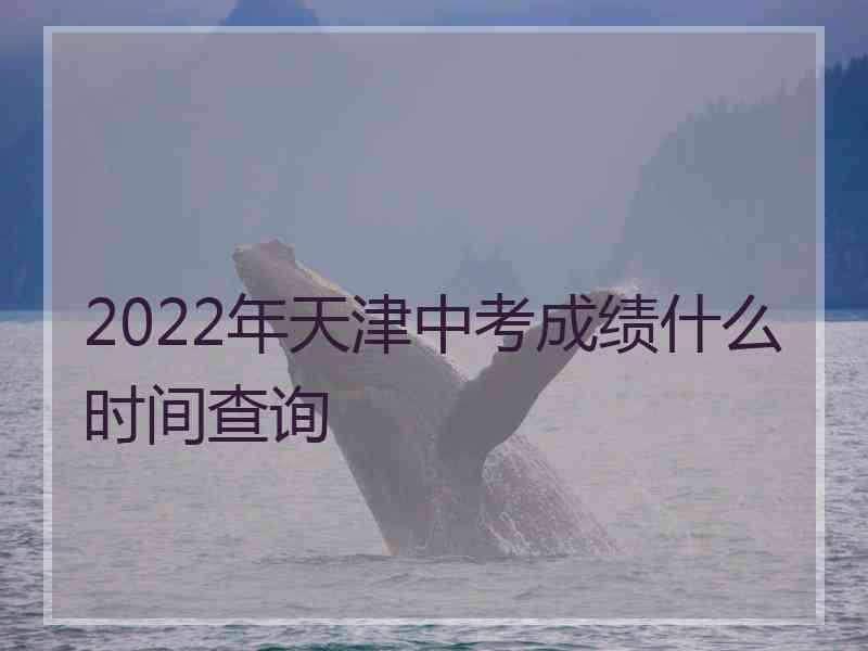 2022年天津中考成绩什么时间查询