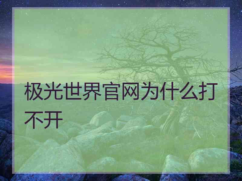 极光世界官网为什么打不开