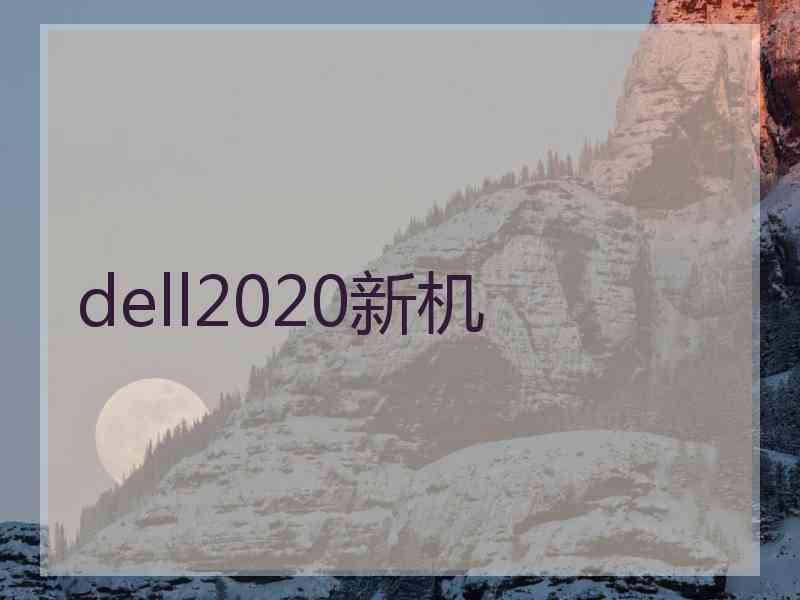 dell2020新机