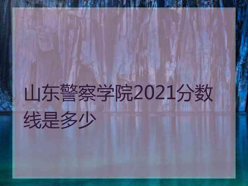 山东警察学院2021分数线是多少