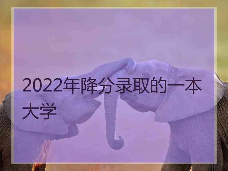 2022年降分录取的一本大学