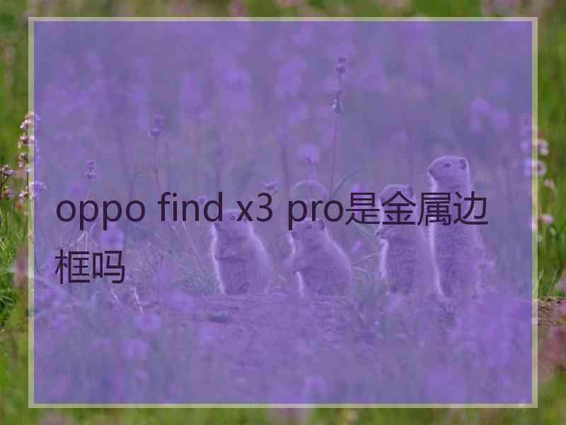 oppo find x3 pro是金属边框吗
