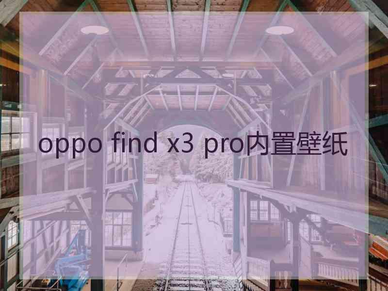 oppo find x3 pro内置壁纸