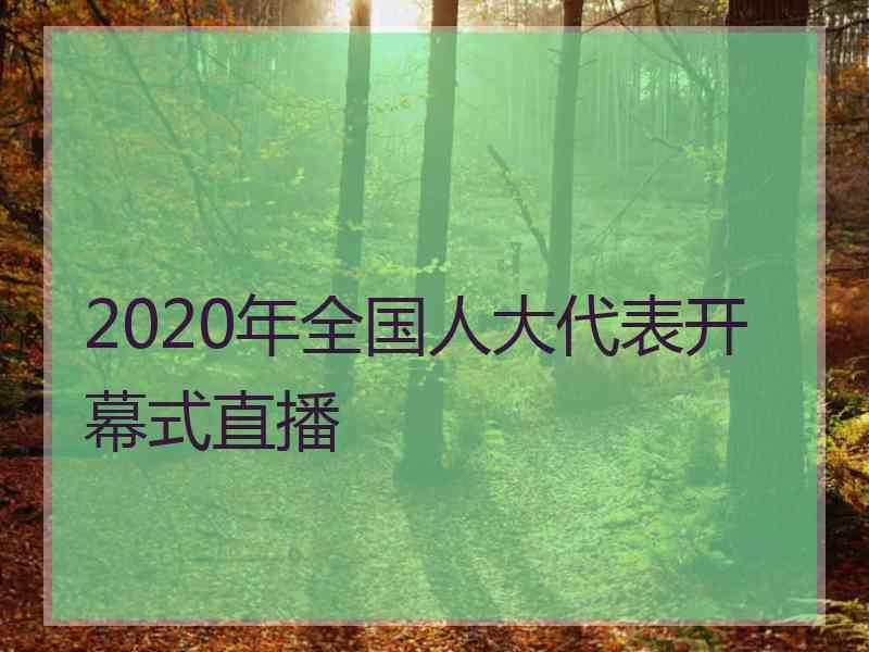 2020年全国人大代表开幕式直播