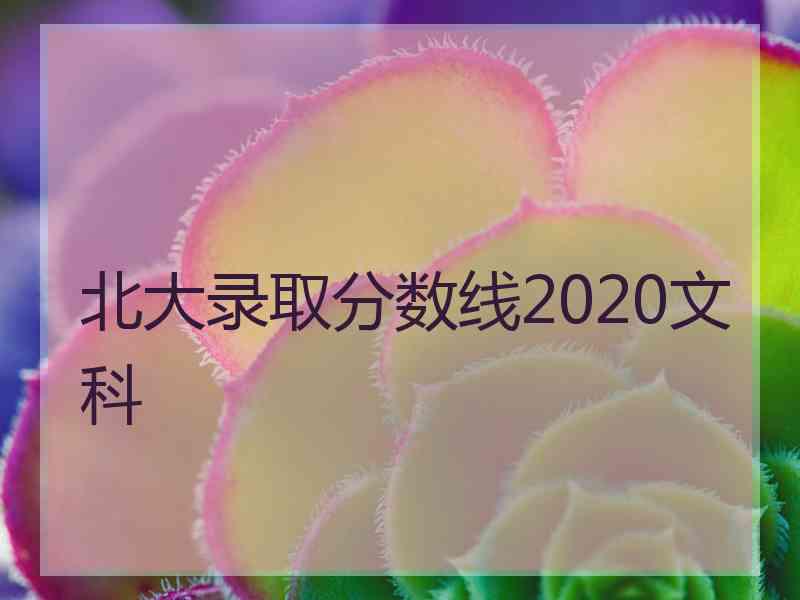 北大录取分数线2020文科