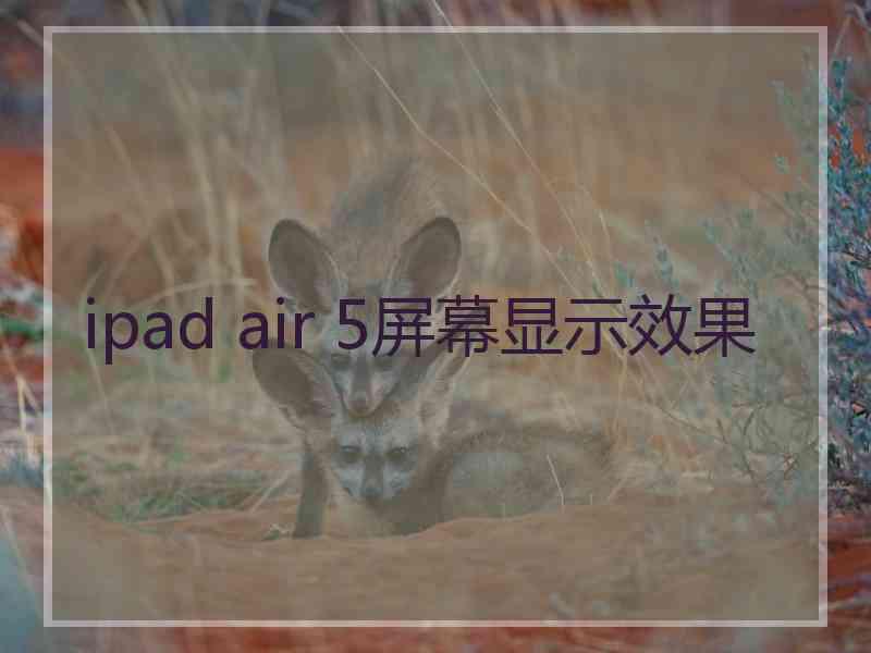 ipad air 5屏幕显示效果