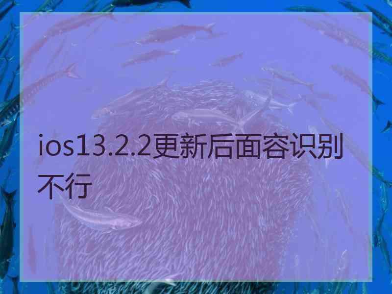ios13.2.2更新后面容识别不行