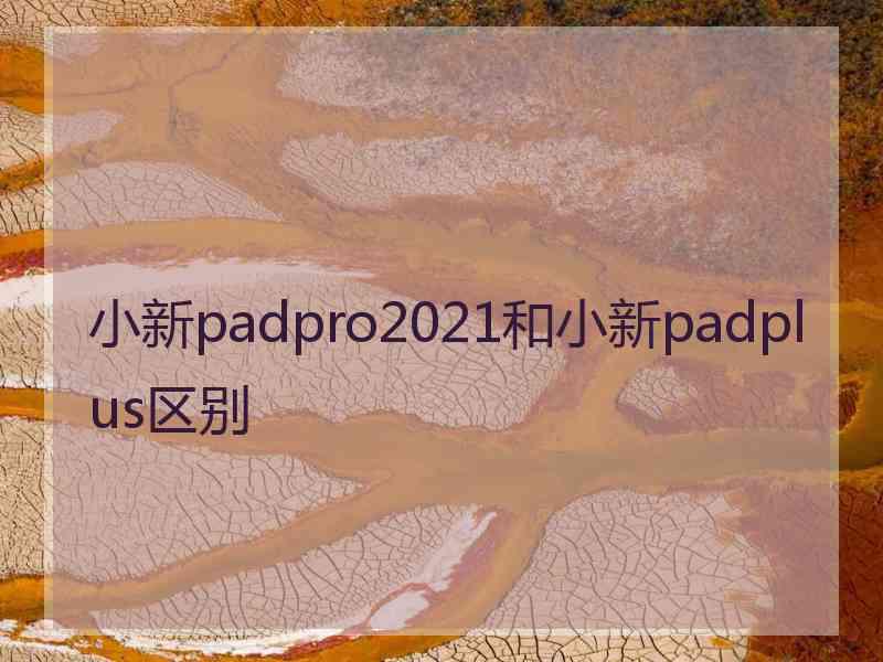 小新padpro2021和小新padplus区别