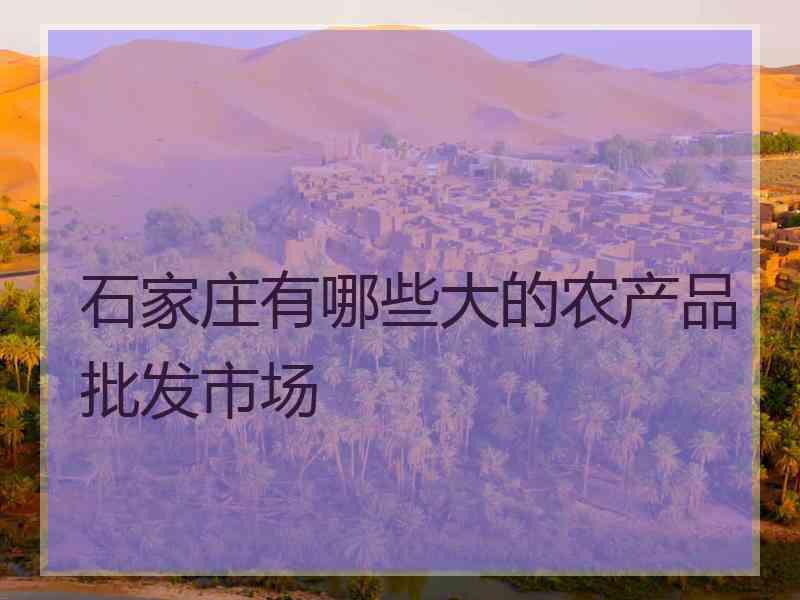 石家庄有哪些大的农产品批发市场