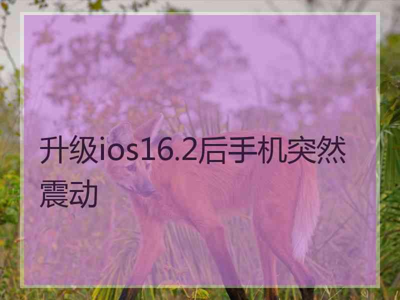 升级ios16.2后手机突然震动