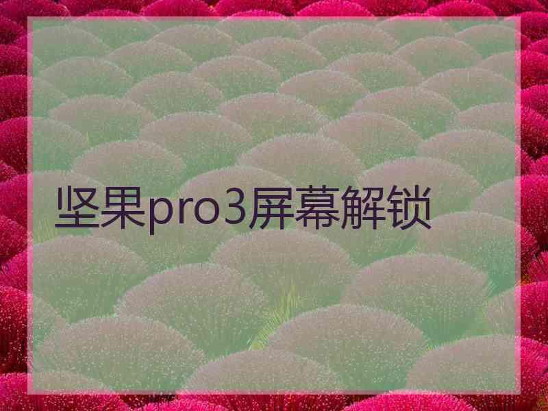 坚果pro3屏幕解锁