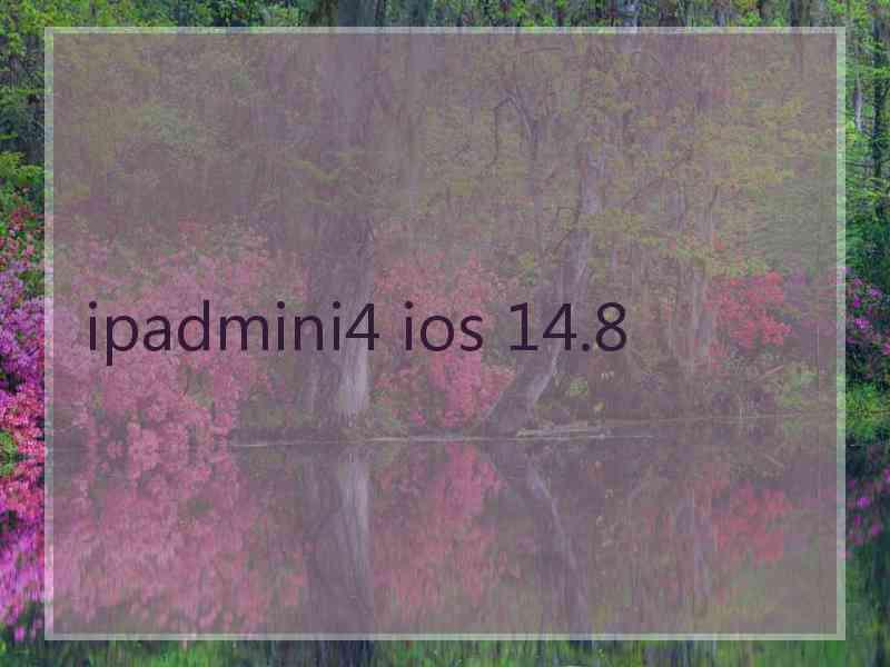 ipadmini4 ios 14.8