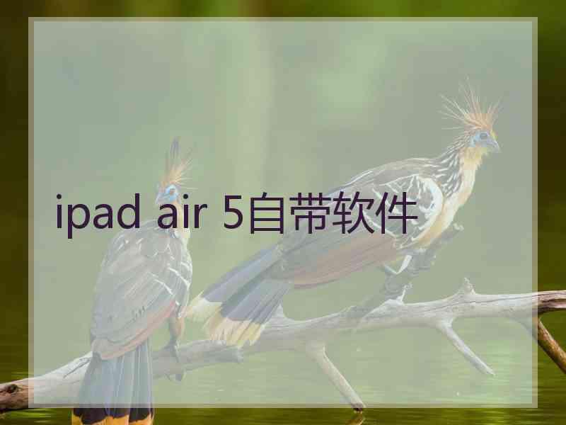 ipad air 5自带软件