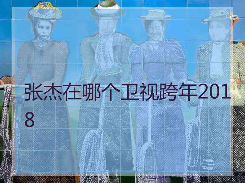 张杰在哪个卫视跨年2018