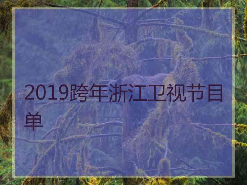 2019跨年浙江卫视节目单