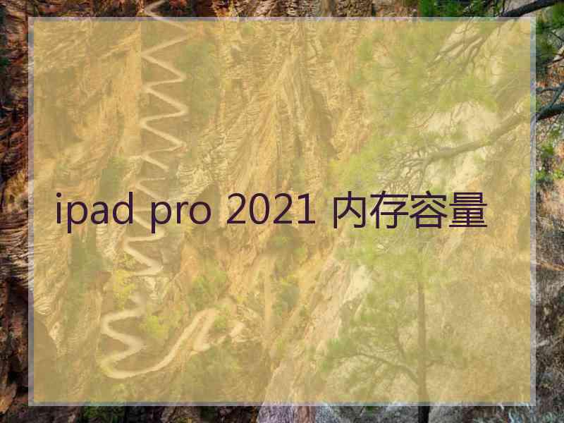 ipad pro 2021 内存容量