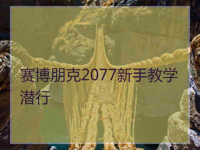 赛博朋克2077新手教学潜行