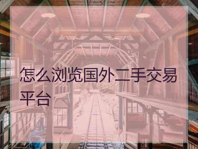 怎么浏览国外二手交易平台