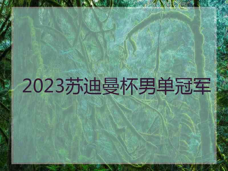 2023苏迪曼杯男单冠军