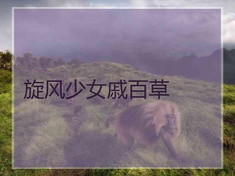 旋风少女戚百草