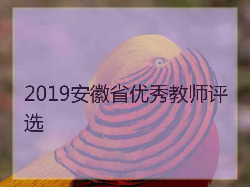 2019安徽省优秀教师评选