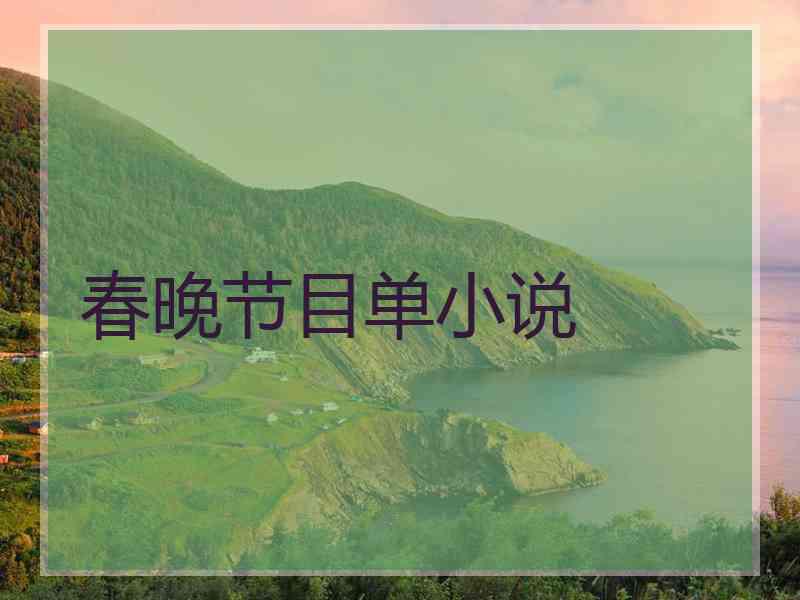 春晚节目单小说
