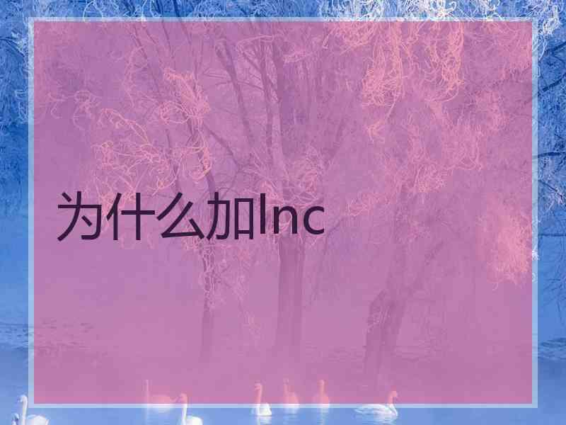 为什么加lnc