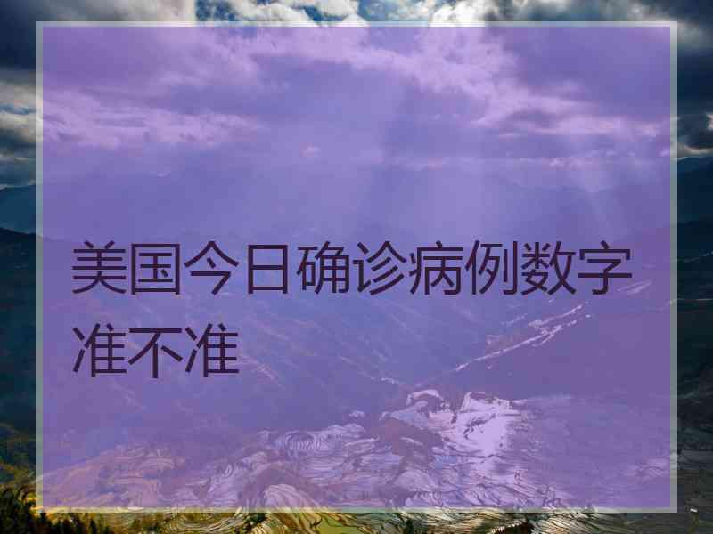美国今日确诊病例数字准不准