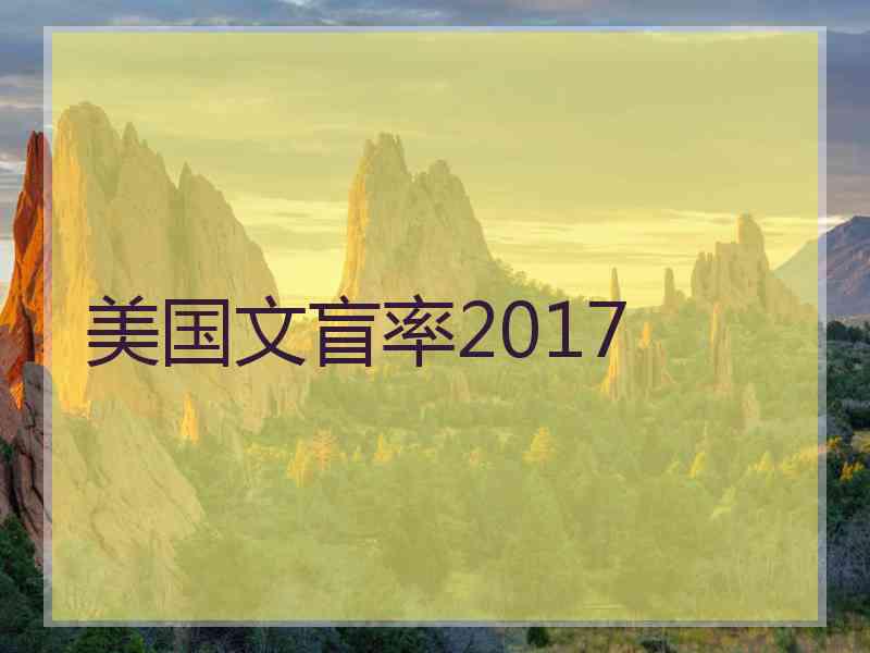 美国文盲率2017