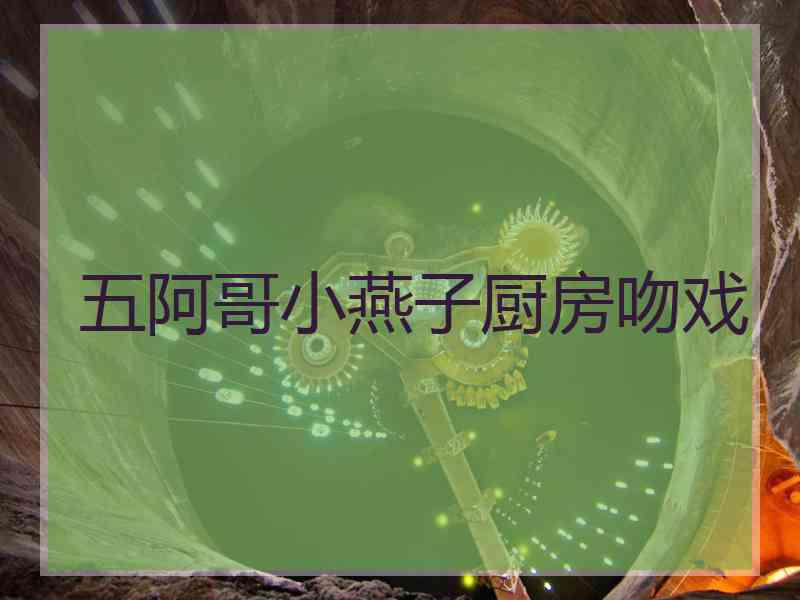 五阿哥小燕子厨房吻戏