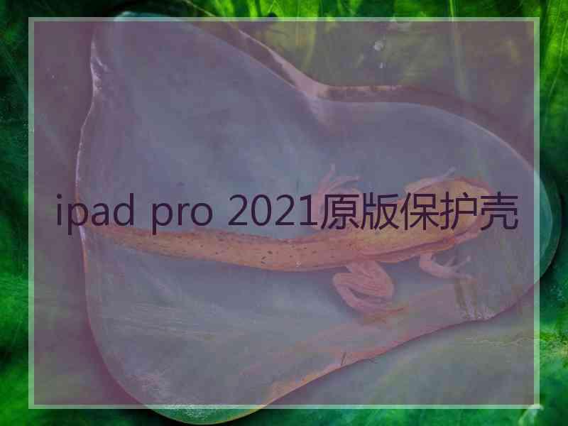ipad pro 2021原版保护壳