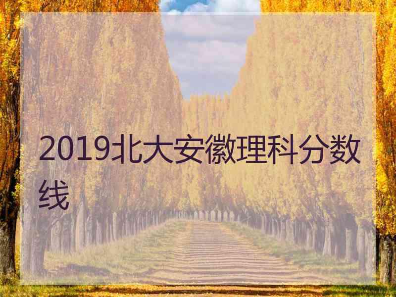 2019北大安徽理科分数线