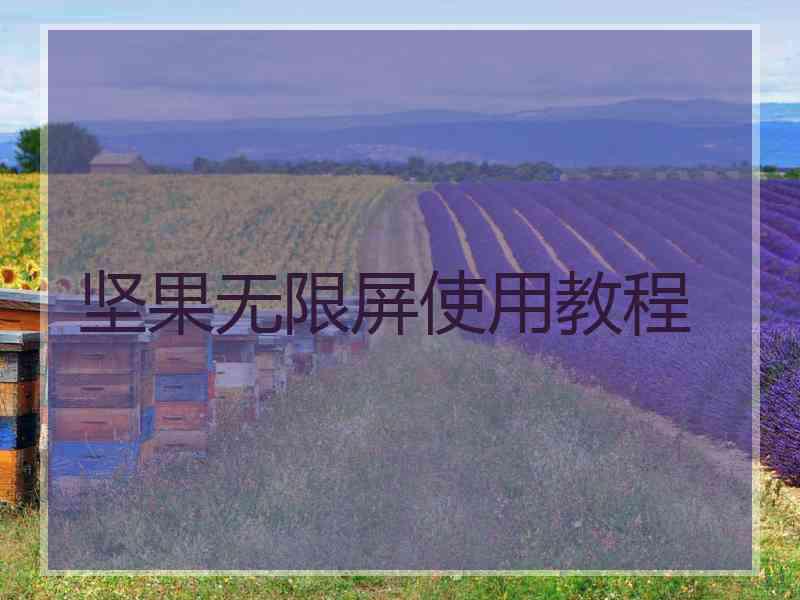 坚果无限屏使用教程