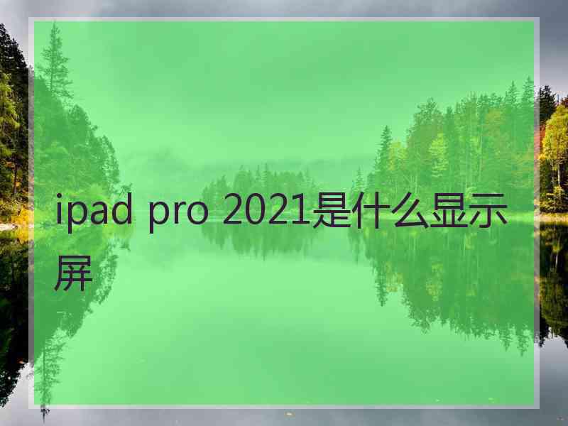 ipad pro 2021是什么显示屏