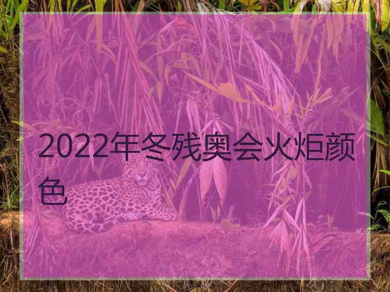 2022年冬残奥会火炬颜色