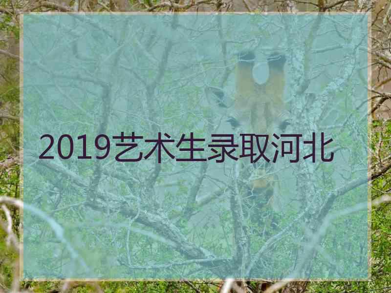 2019艺术生录取河北