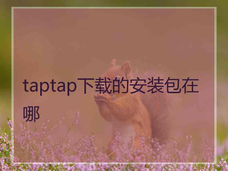 taptap下载的安装包在哪