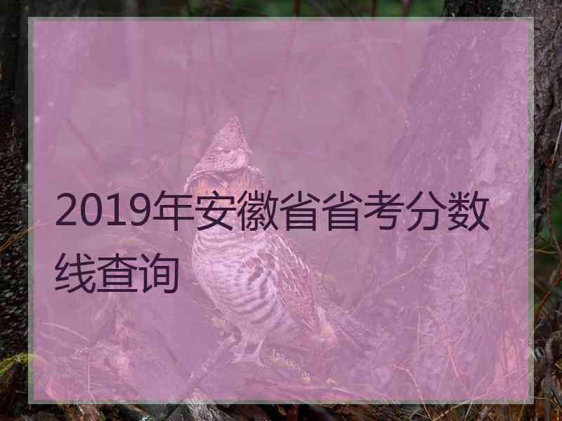 2019年安徽省省考分数线查询