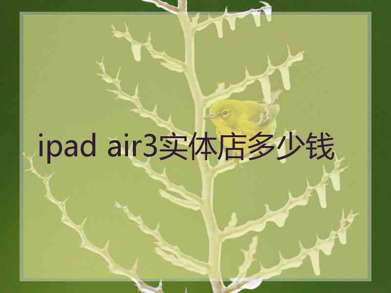 ipad air3实体店多少钱
