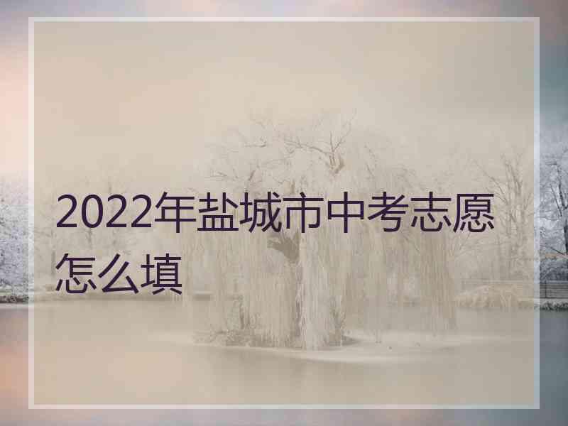 2022年盐城市中考志愿怎么填