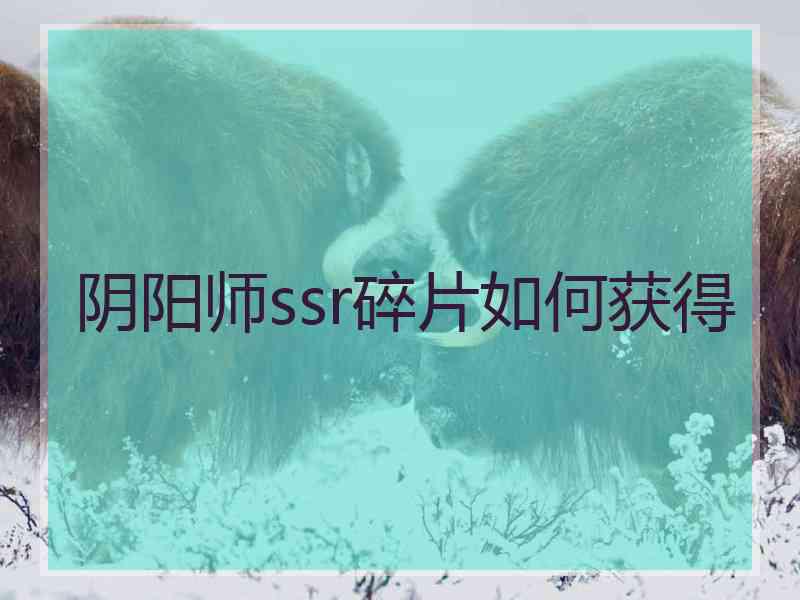 阴阳师ssr碎片如何获得