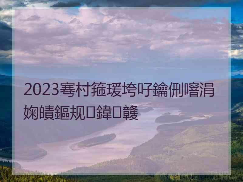 2023骞村箍瑗垮吇鑰侀噾涓婅皟鏂规鍏竷