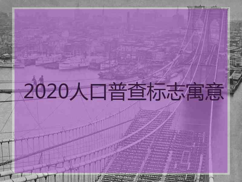 2020人口普查标志寓意