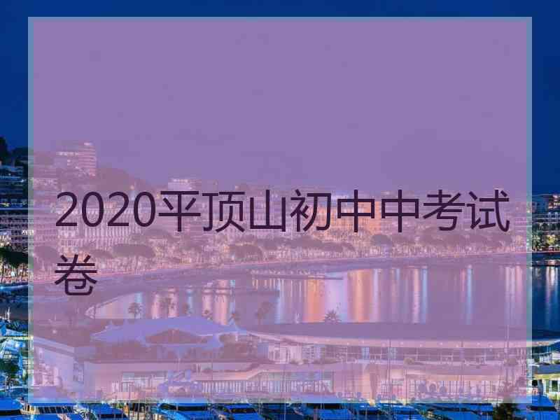2020平顶山初中中考试卷