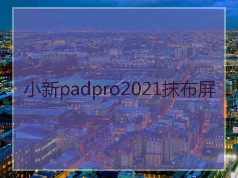 小新padpro2021抹布屏