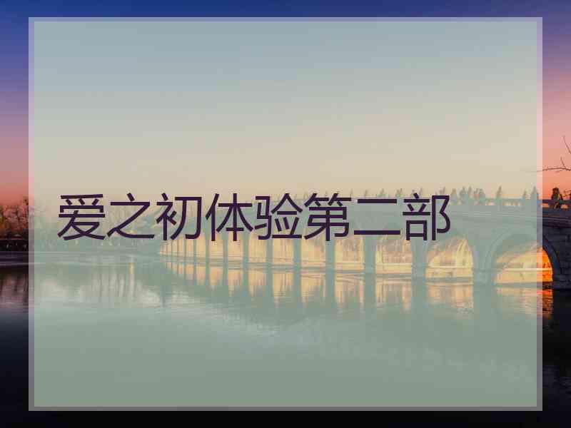 爱之初体验第二部