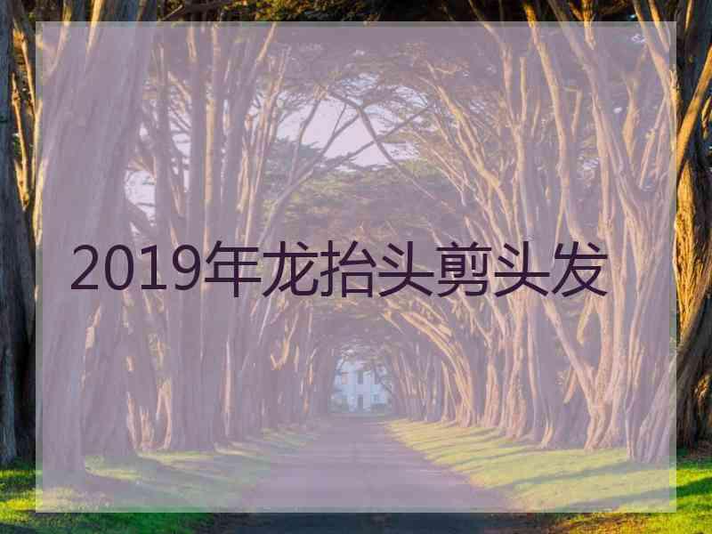 2019年龙抬头剪头发